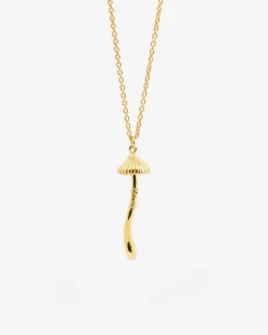 PENDENTE FUNGO